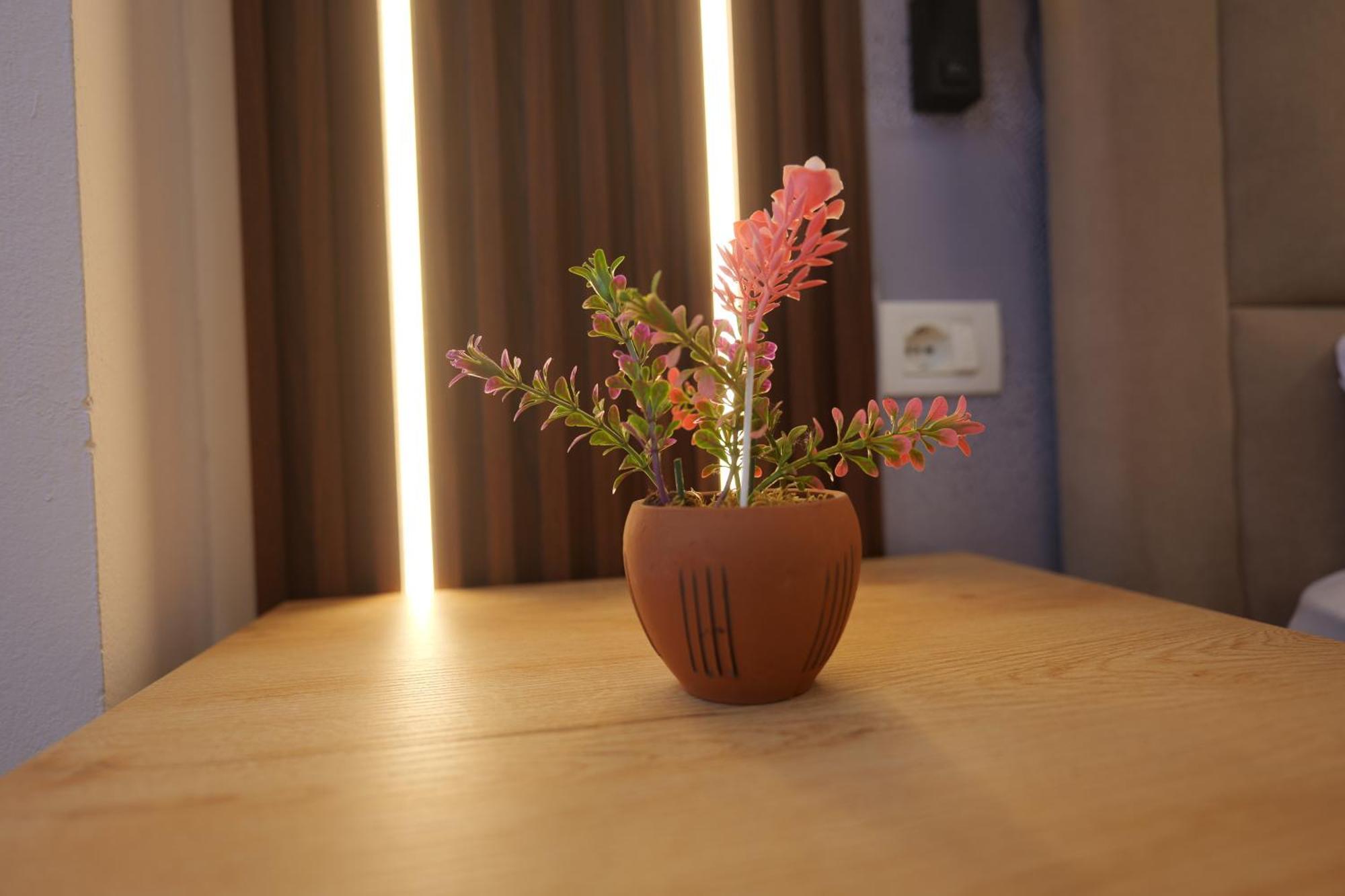 Golden Sleep Hostel Szkodra Zewnętrze zdjęcie
